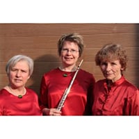 Ensemble Syrinx Plus