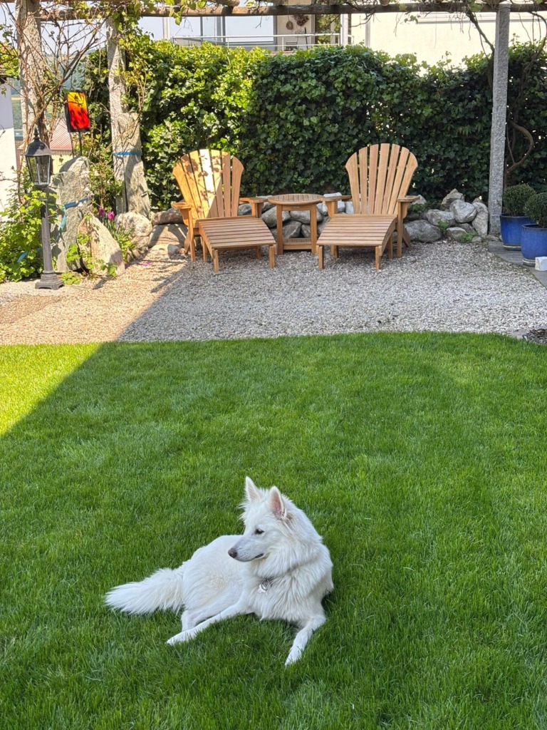 1507