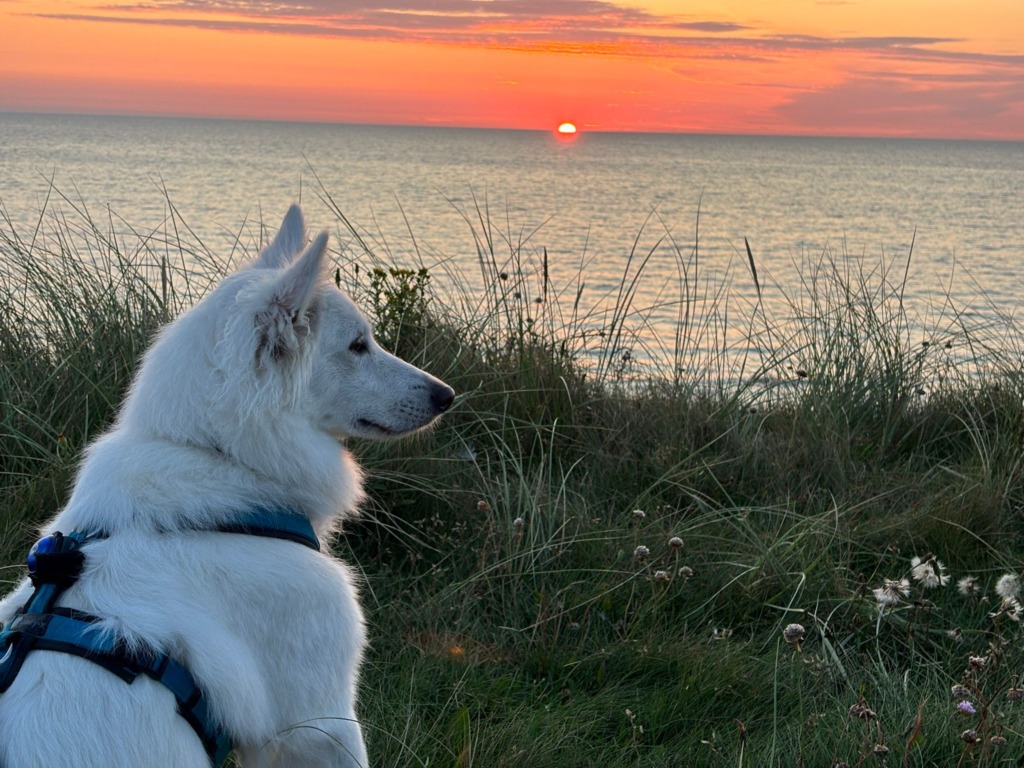 1661