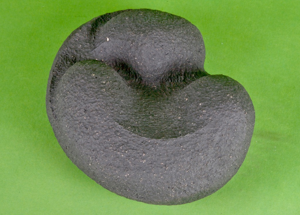 459
